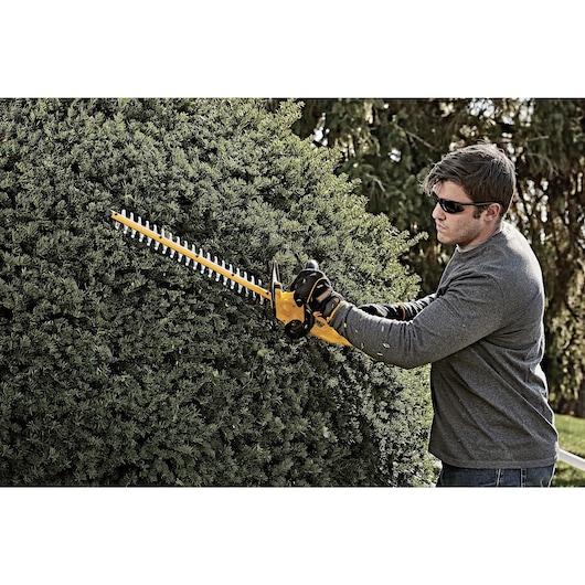 A person using a yellow DEWALT cordless hedge trimmer to trim a large bush outdoors. The individual's face is blurred, and they are wearing gloves and a grey long-sleeve shirt.