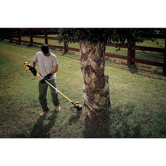 A person is using a DEWALT cordless string trimmer to cut grass around a tree in a yard.