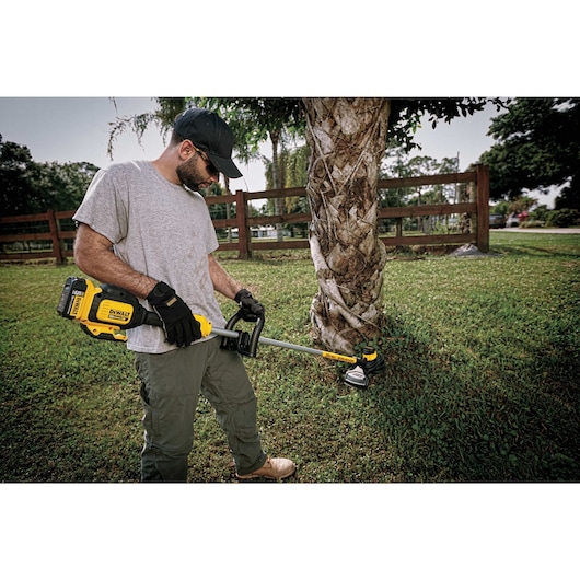 A person wearing gloves and a cap is using a DEWALT cordless string trimmer to cut grass around the base of a palm tree in a garden or yard.